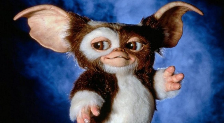 I can’t wait to meet Gizmo