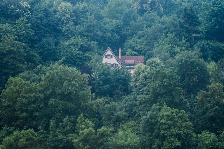 Small House