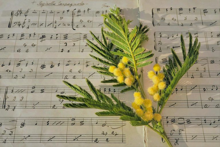 music sheet