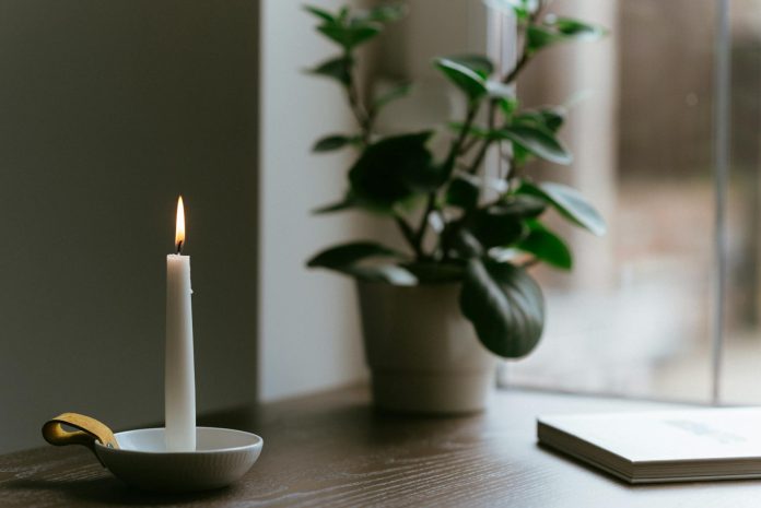 image-78 Burning candle near potted plant on table