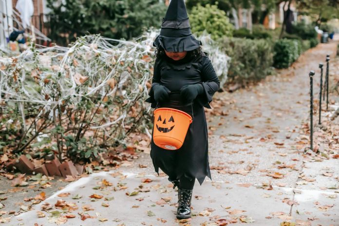 Full body anonymous of little girl in black witch costume for Halloween walking with bucket on street in autumn in daytime