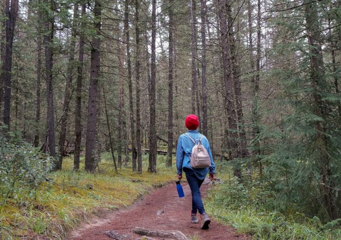 image-52 Person in Blue Jacket Walking on Dirt Road Between Trees